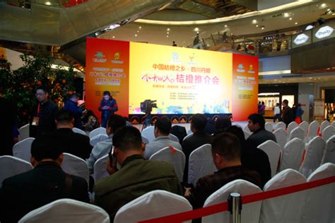 成都品牌營銷推廣大全 整合資源，引爆市場